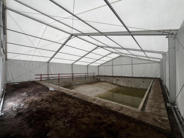 overkapping zwembad - Tenten Vannieuwenhuyze