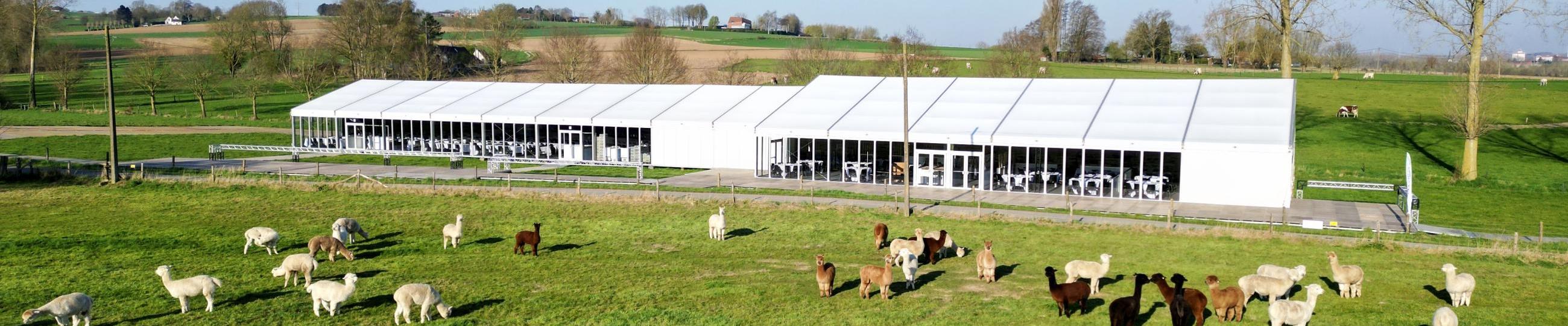 Ronde van Vlaanderen Tenten Vannieuwenhuyze